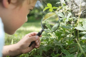 Young boy looking at plant through magnifying glass